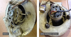 AirRevive refurbishment after renovation
